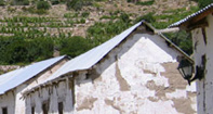 Región de Arica y Parinacota