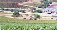 Región de Coquimbo