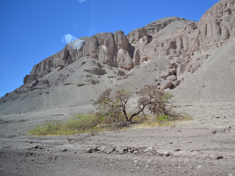 Defensor&iacute;a difunde derechos en el desierto extremo de Tarapac&aacute;