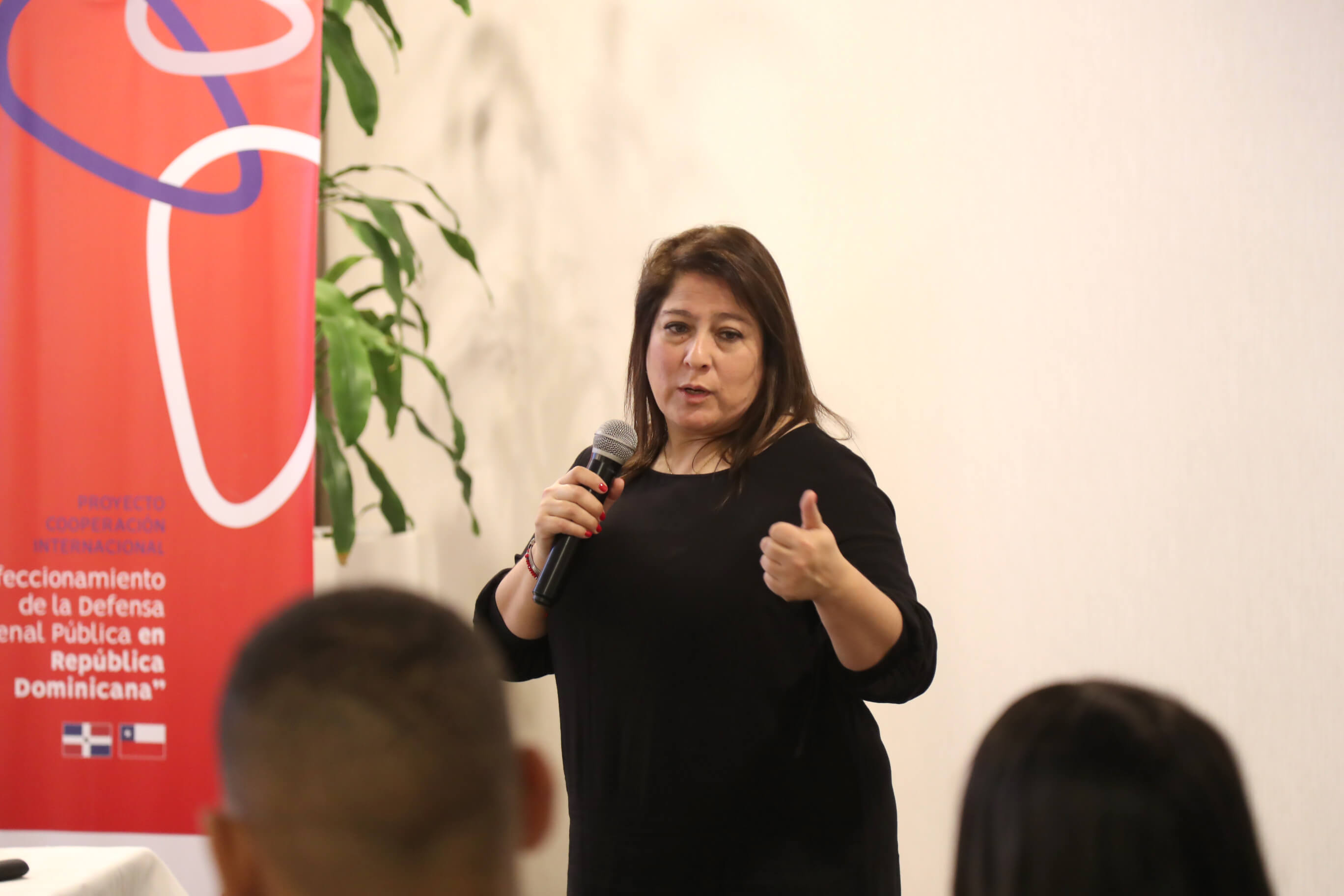 Abogados especializados de la Defensor&iacute;a dictan capacitaci&oacute;n sobre Responsabilidad Penal Adolescente (RPA)