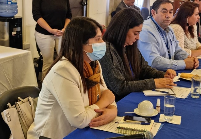La trabajadora social de la Defensor&iacute;a Regional de &Ntilde;uble es parte de la "Mesa de convivencia escolar", que re&uacute;ne a profesores y alumnos.