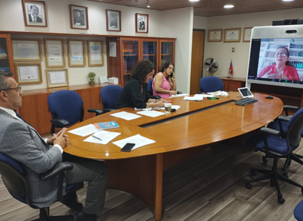 La reuni&oacute;n se llev&oacute; a cabo de manera virtual. 