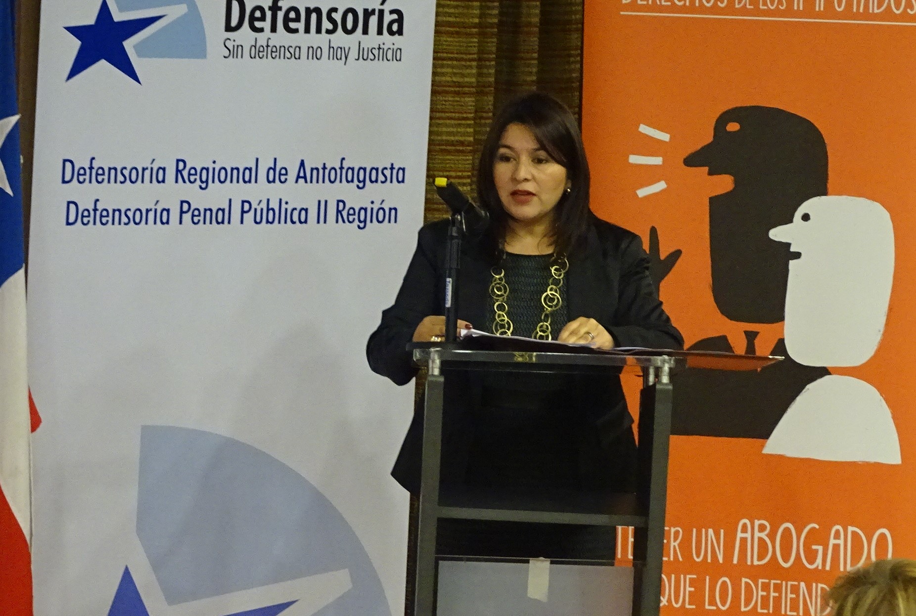 La Defensora Regional de Antofagasta rindi&oacute; hoy su cuenta p&uacute;blica de gesti&oacute;n 2014.