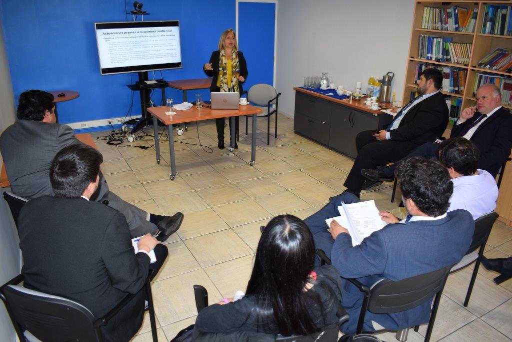 Defensores p&uacute;blicos y otros profesionales de la regi&oacute;n participaron de este taller.