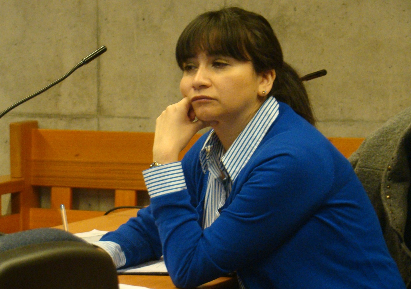 La defensora penal juvenil Andrea Quinteros represent&oacute; a j&oacute;venes de 15 a&ntilde;os que robaron con intimidaci&oacute;n en Las Condes
