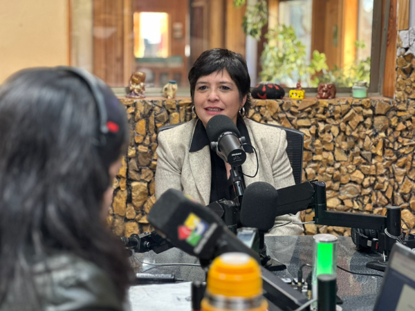 La Defensora Nacional, Ver&oacute;nica Encina Vera, durante la entrevista. 