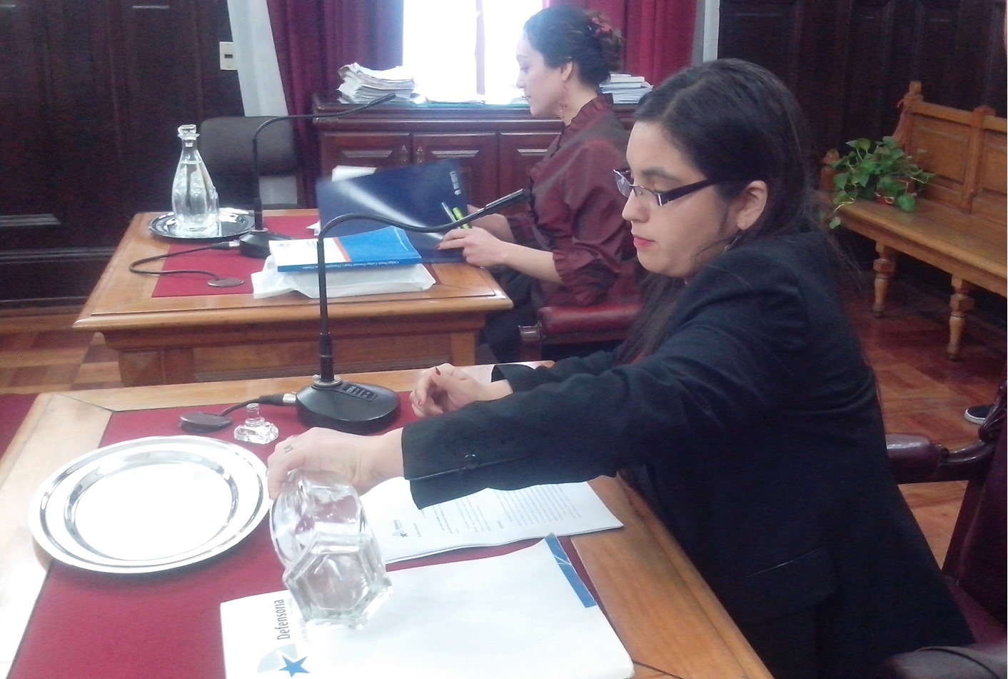 La defensora p&uacute;blica Nelly &Aacute;rgel aleg&oacute; por la revocaci&oacute;n de la prisi&oacute;n preventiva de la universitaria imputada por infanticidio.