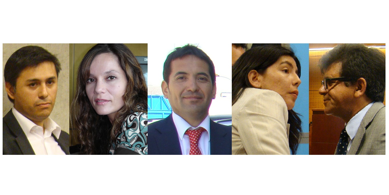 Andr&eacute;s Rojas, Claudia Vergara, Luis G&aacute;lvez, B&aacute;rbara Antivero y Hugo Cerda ganaron recursos de amparo ante las Cortes.