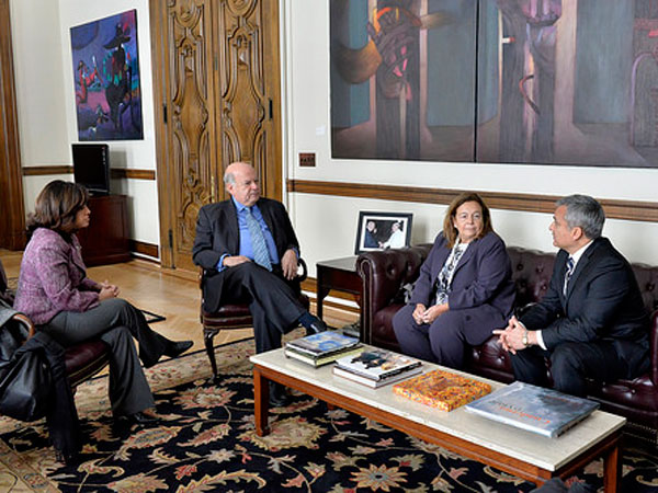 La directiva de Aidef se reuni&oacute; con Jos&eacute; Miguel Insulza en el marco de una sesi&oacute;n especial de la Comisi&oacute;n de Asuntos Jur&iacute;dicos y Pol&iacute;ticos de la OEA. 