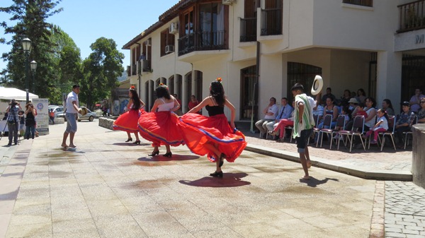 Representantes de siete pa&iacute;ses participaron de la Feria de la Hispanidad organizada por la Defensor&iacute;a de O'Higgns y la Municipalidad de Machal&iacute; 