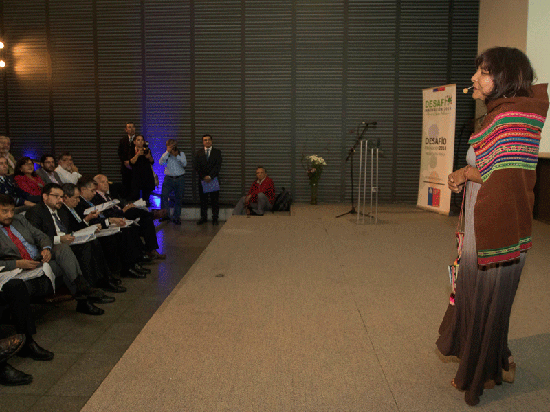 La facilitadora intercultural, In&eacute;s Flores present&oacute; la iniciativa ante el jurado del Servicio Civil.