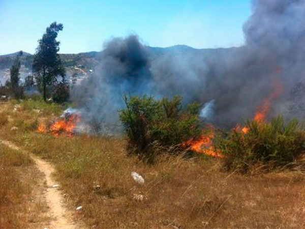 El incendio, ocurrido el pasado 12 de diciembre, afect&oacute; a 20 hect&aacute;reas de pastizales situados en la zona sur de Villa Alemana
