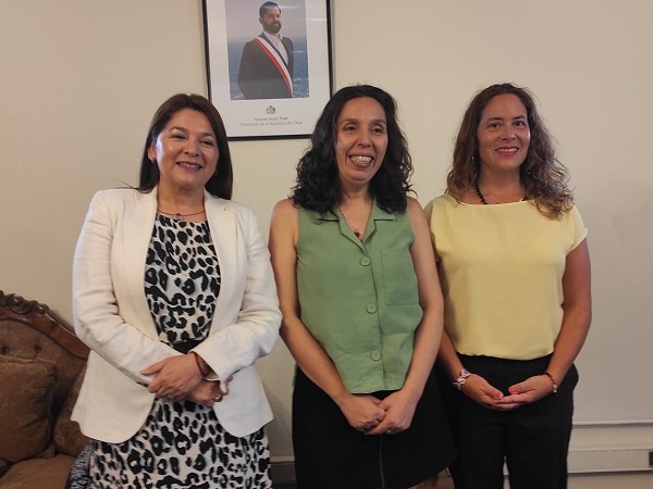 Las defensoras regionales agradecieron la reuni&oacute;n con la nueva autoridad metropolitana del Sename.