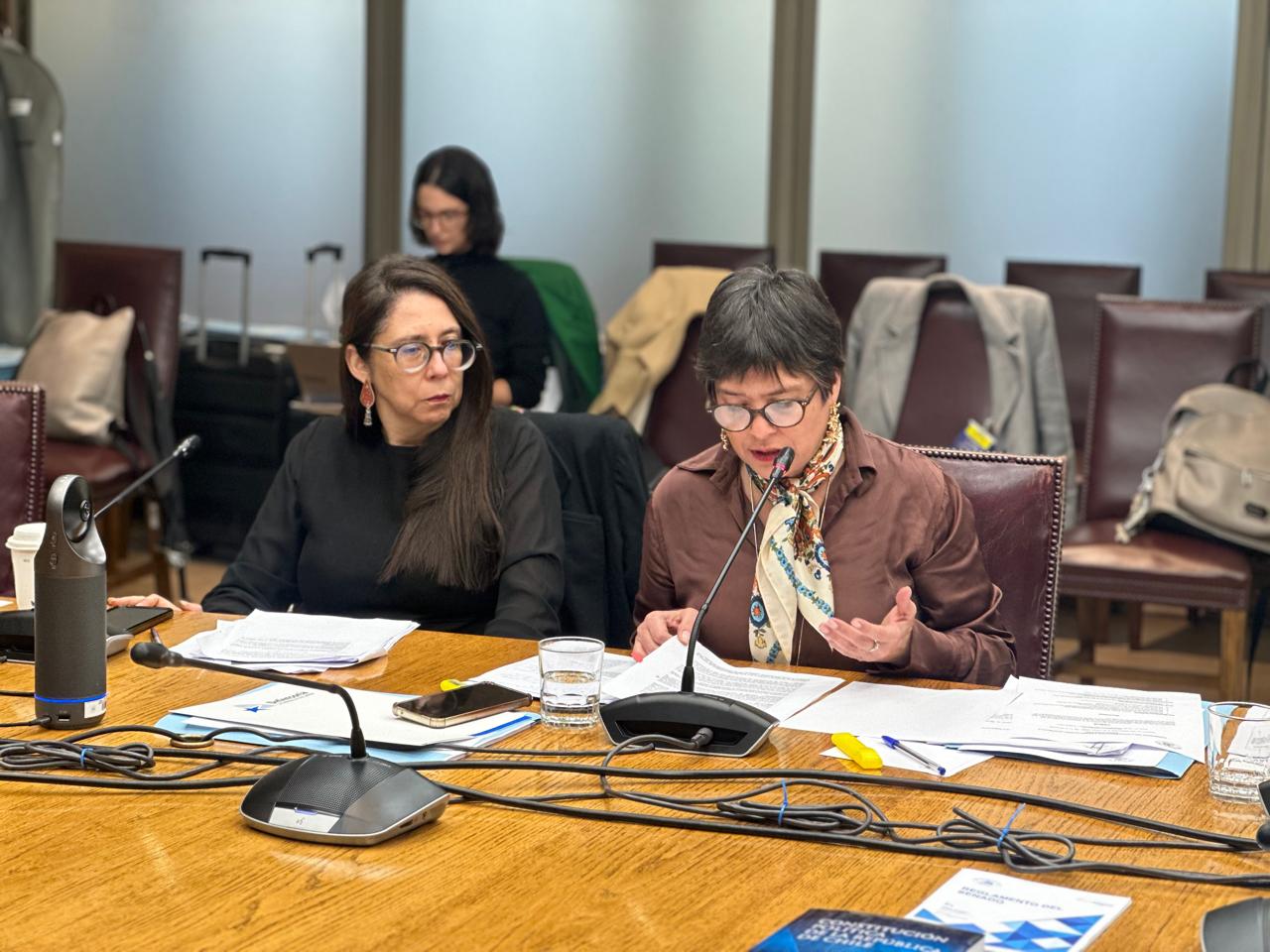 La Defensora Nacional, Ver&oacute;nica Encina Vera, durante su exposici&oacute;n ante la comisi&oacute;n. 