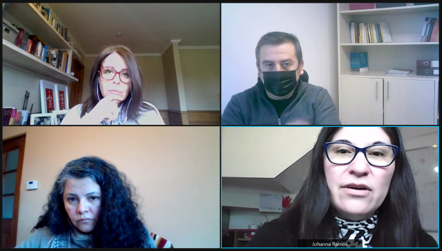 La reuni&oacute;n se realiz&oacute; por videoconferencia.