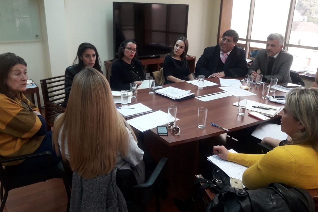 La CISC, integrda por la abogada de Estudios Claudia Vergara, se reuni&oacute; por primera vez con la directora del Sename, Susana Tonda.