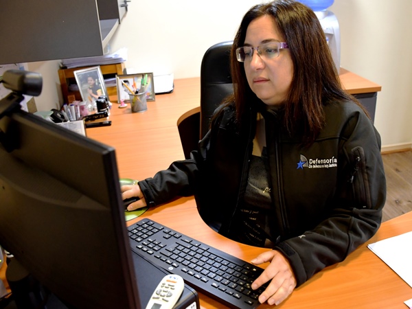 La jefa de Estudios de la Defensor&iacute;a Regional de Tarapac&aacute;, Karina Reyes, destac&oacute; la utilidad de esta herramienta digital.
