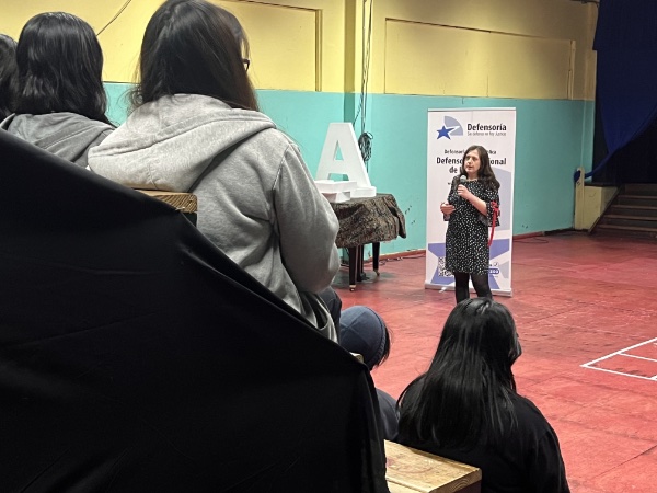La actividad se realiz&oacute; en el auditorio de la Escuela de Cultura de Puerto Montt.