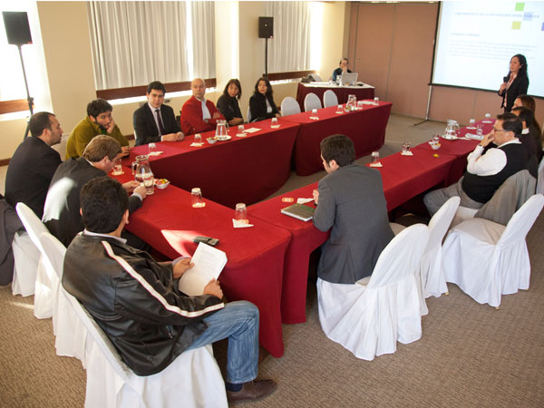 Diez defensores penales p&uacute;blicos de distintas regiones asistieron al III Taller de Vocer&iacute;a de 2012 en Santiago.
