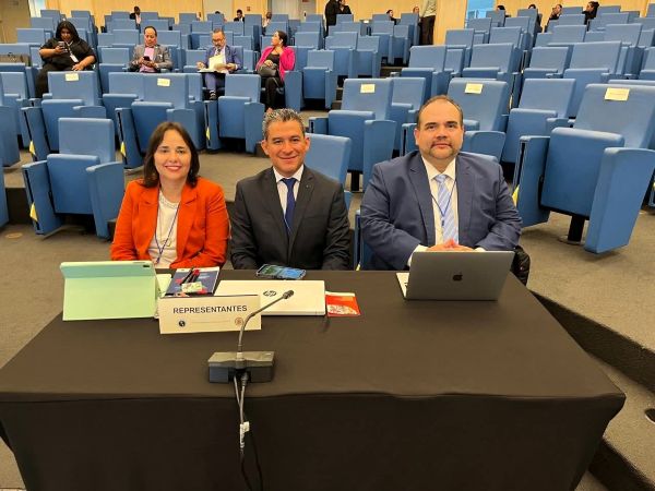In&eacute;s Rojas junto a los otros dos defensores p&uacute;blicos interamericanos del caso ante la Corte IDH.