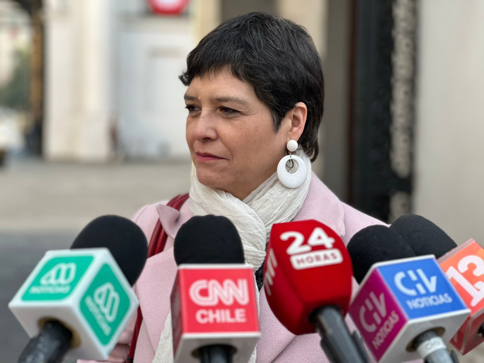 La Defensora Nacional, Ver&oacute;nica Encina Vera.