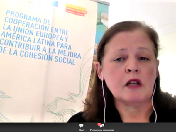 La ceremonia virtual de lanzamiento de la red fue dirigida por Mar&iacute;a Luisa Dom&iacute;nguez, del programa EUROsociAL+.