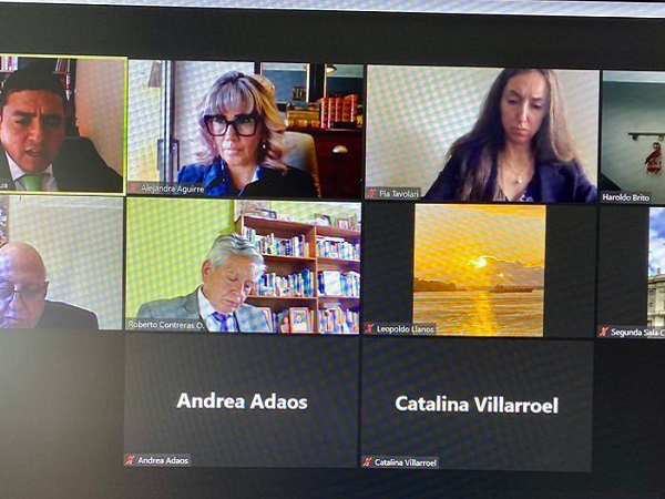 Todos los alegatos de estos recursos ante la Corte Suprema se desarrollaron a trav&eacute;s de la plataforma Zoom.
