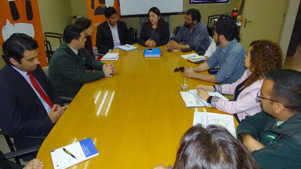Expertas de Eurosocial presentaron el protocolo en una mesa de trabajio interinstitucional. 