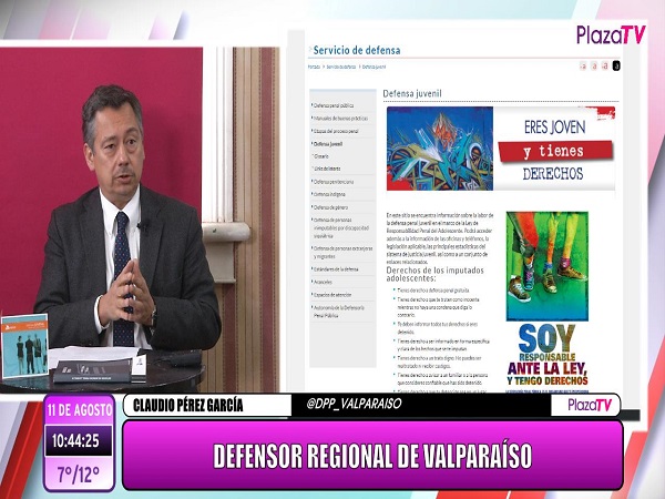 Este es el tercer cap&iacute;tulo sobre defensas especializadas.