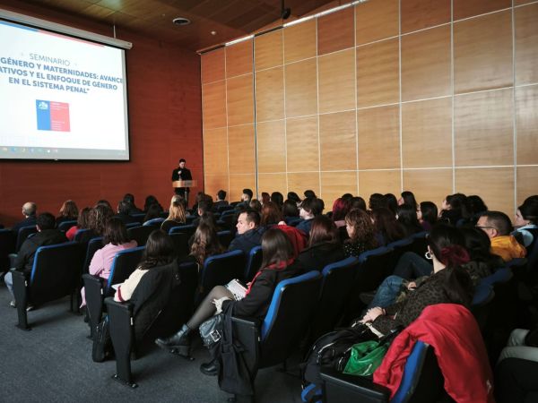El seminario fue organizado por la 'Mesa regional de g&eacute;nero del sector justicia'. 