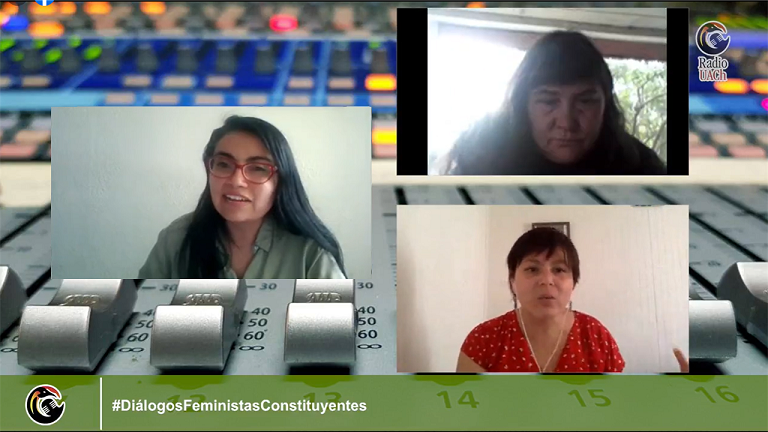La abogada coment&oacute; el quehacer de la defensa penitenciaria y las brechas que existen entre la poblaci&oacute;n penal masculina y femenina.