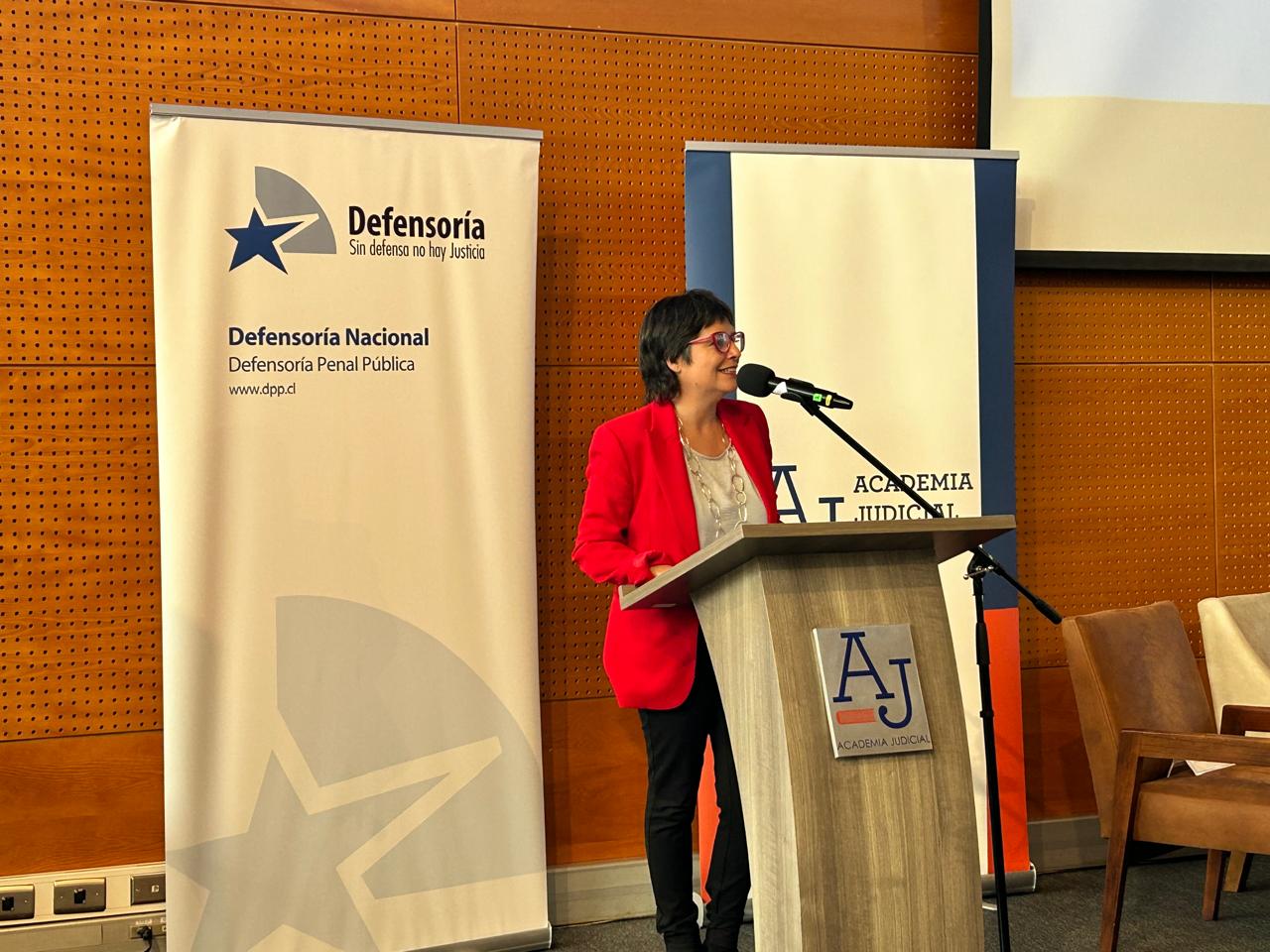 La Defensora Nacional, Ver&oacute;nica Encina Vera, durante su exposici&oacute;n de hoy.