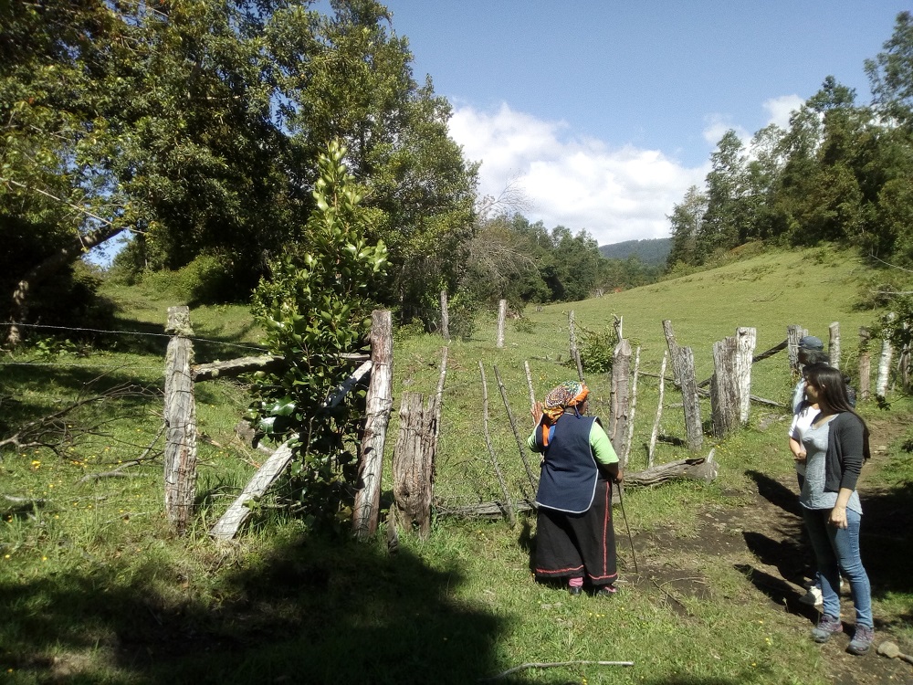 El equipo recorri&oacute; ambos terrenos y se reuni&oacute; con integrantes de ambas comunidades ind&iacute;genas.