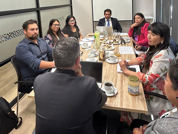 El encuentro de planificaci&oacute;n y coordinaci&oacute;n convoc&oacute; a representantes de ambas instituciones en La Araucan&iacute;a.