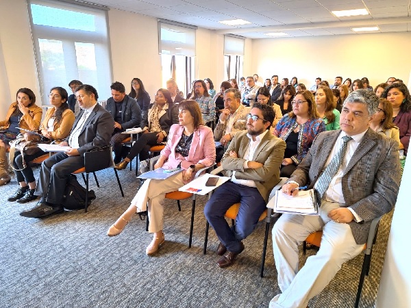 El taller logr&oacute; una masiva concurrencia, con representantes de distintas instituciones intervinientes.
