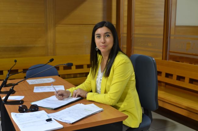 La defensora penal p&uacute;blica Constanza Alamos al inicio de la lectura de sentencia
