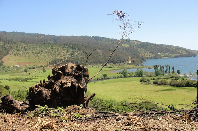 Los lagos y el mar son vitales en la cultura lafquenche. En ese entorno se mueve la defensa ind&iacute;gena de la DPP en la zona de Arauco.   