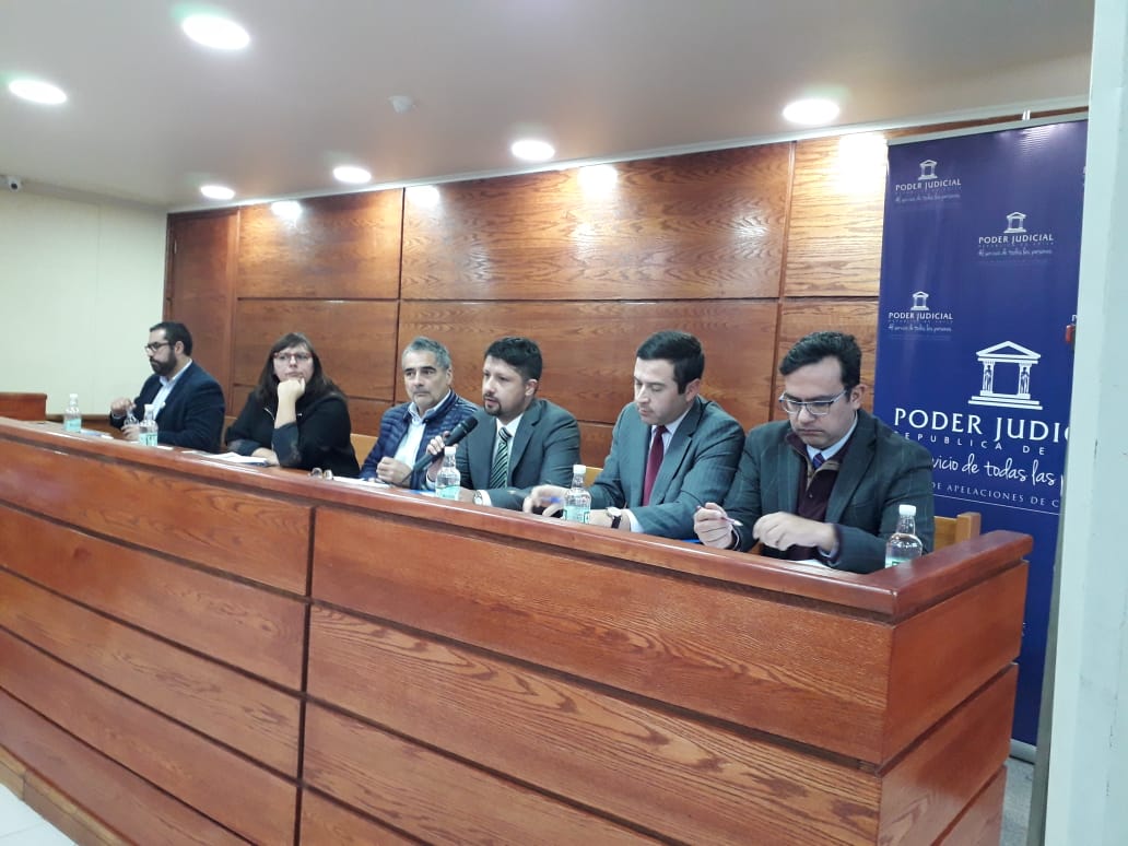 Cristian Cajas, jefe (S) de Estudios de la Defensor&iacute;a Regional de Ays&eacute;n, present&oacute; un relevante estudio para la justicia juvenil.