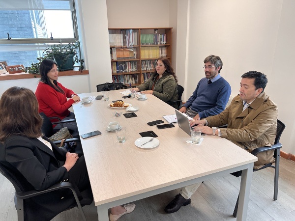 Los profesionales acordaron capacitaciones futuras para apoyar el trabajo con j&oacute;venes infractores.