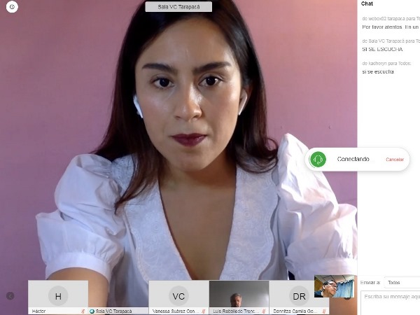 La defensora p&uacute;blica Marcela Tapia al iniciar su exposici&oacute;n por videoconferencia.
