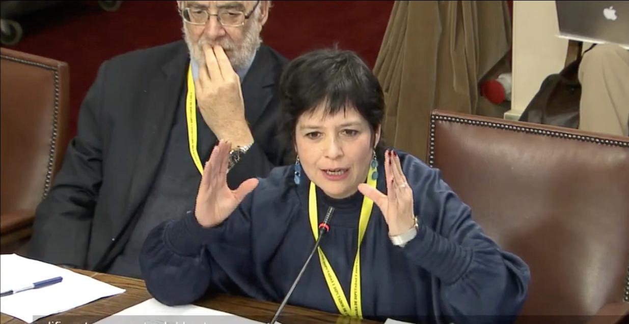 La Defensora Nacional durante su exposici&oacute;n ante la Comisi&oacute;n de Seguridad Ciudadana de la C&aacute;mara de Diputados.