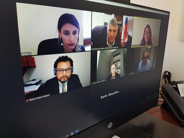 La sesi&oacute;n de la comisi&oacute;n se realiz&oacute; a trav&eacute;s de la plataforma Zoom.