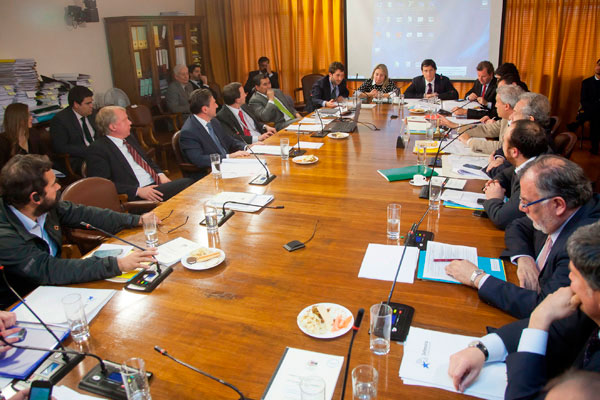 Los trece diputados de la comisi&oacute;n aprobaron la idea de legislar sobre la iniciativa.