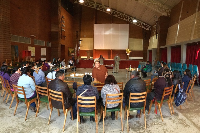 Cerca de 50 representantes de comunidades ind&iacute;genas de la zona llegaron al traw&uuml;n.