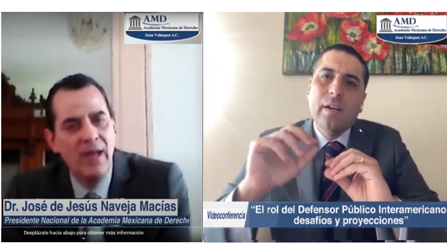 El jefe de Estudios de la DRMN, Octavio Suf&aacute;n, expuso v&iacute;a web acerca del trabajo de los defensores p&uacute;blicos ante juristas mexicanos.