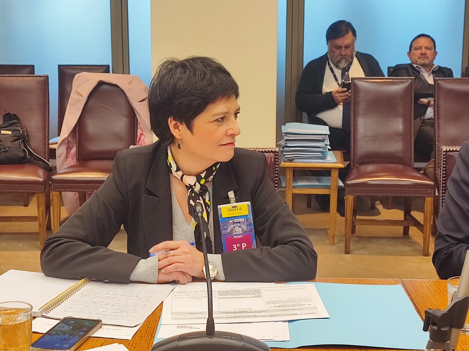 La Defensora Nacional, Ver&oacute;nica Encina, durante su intervenci&oacute;n ante la Comisi&oacute;n.