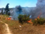 El incendio, ocurrido el pasado 12 de diciembre, afect&oacute; a 20 hect&aacute;reas de pastizales situados en la zona sur de Villa Alemana