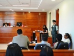 La Facilitadora Intercultural de la Defensor&iacute;a Regional de Arica y Parinacota expone ante el tribunal su interpretaci&oacute;n del caso periciado.