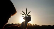 Pamela C&oacute;rdova usaba la cannabis para tratar una complicada fibromialgia