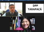 El Defensor Regional de Tarapac&aacute; y la convencional Alejandra Flores, en un momento de la videoconferencia